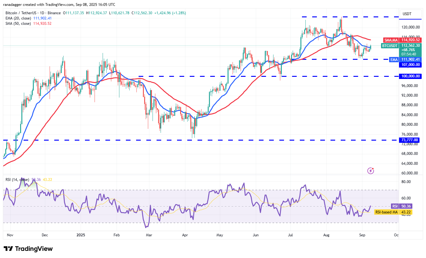 Dogecoin, Cryptocurrencies, Dollar, Bitcoin Price, XRP, Markets, Cryptocurrency Exchange, Cardano, Price Analysis, Binance Coin, Market Analysis, Ether Price, Solana, MicroStrategy, S&P 500, Whale, Michael Saylor