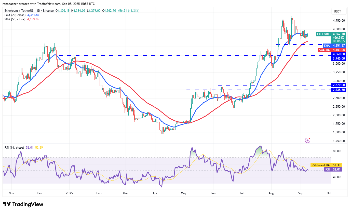 Dogecoin, Cryptocurrencies, Dollar, Bitcoin Price, XRP, Markets, Cryptocurrency Exchange, Cardano, Price Analysis, Binance Coin, Market Analysis, Ether Price, Solana, MicroStrategy, S&P 500, Whale, Michael Saylor