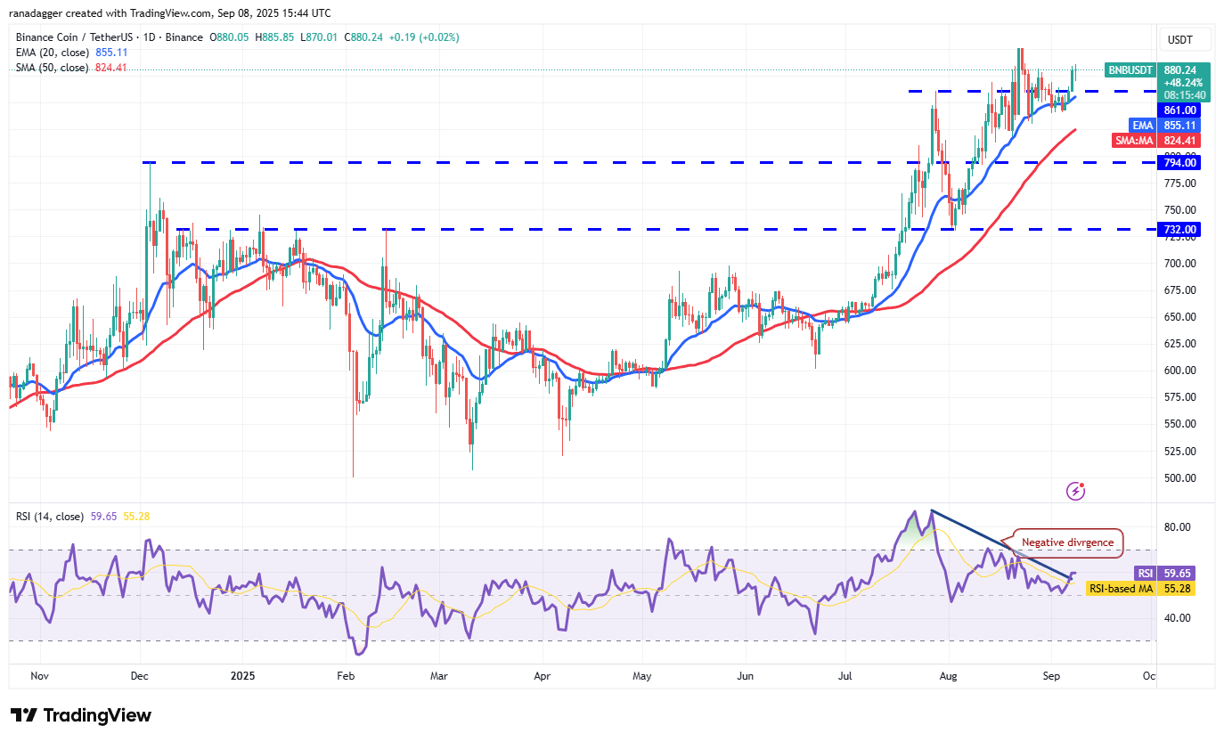 Dogecoin, Cryptocurrencies, Dollar, Bitcoin Price, XRP, Markets, Cryptocurrency Exchange, Cardano, Price Analysis, Binance Coin, Market Analysis, Ether Price, Solana, MicroStrategy, S&P 500, Whale, Michael Saylor
