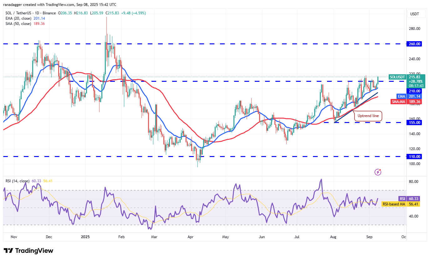 Dogecoin, Cryptocurrencies, Dollar, Bitcoin Price, XRP, Markets, Cryptocurrency Exchange, Cardano, Price Analysis, Binance Coin, Market Analysis, Ether Price, Solana, MicroStrategy, S&P 500, Whale, Michael Saylor