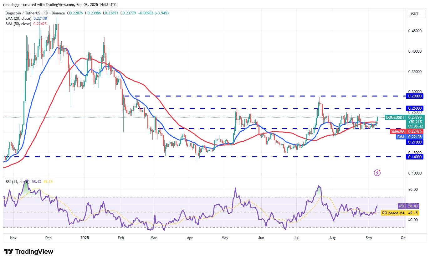 Dogecoin, Cryptocurrencies, Dollar, Bitcoin Price, XRP, Markets, Cryptocurrency Exchange, Cardano, Price Analysis, Binance Coin, Market Analysis, Ether Price, Solana, MicroStrategy, S&P 500, Whale, Michael Saylor