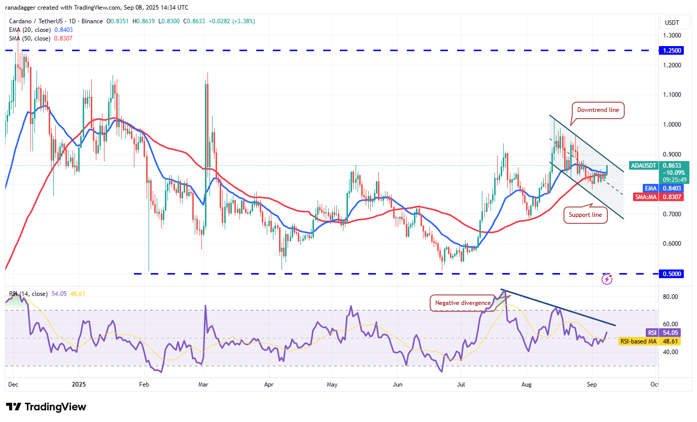 Dogecoin, Cryptocurrencies, Dollar, Bitcoin Price, XRP, Markets, Cryptocurrency Exchange, Cardano, Price Analysis, Binance Coin, Market Analysis, Ether Price, Solana, MicroStrategy, S&P 500, Whale, Michael Saylor