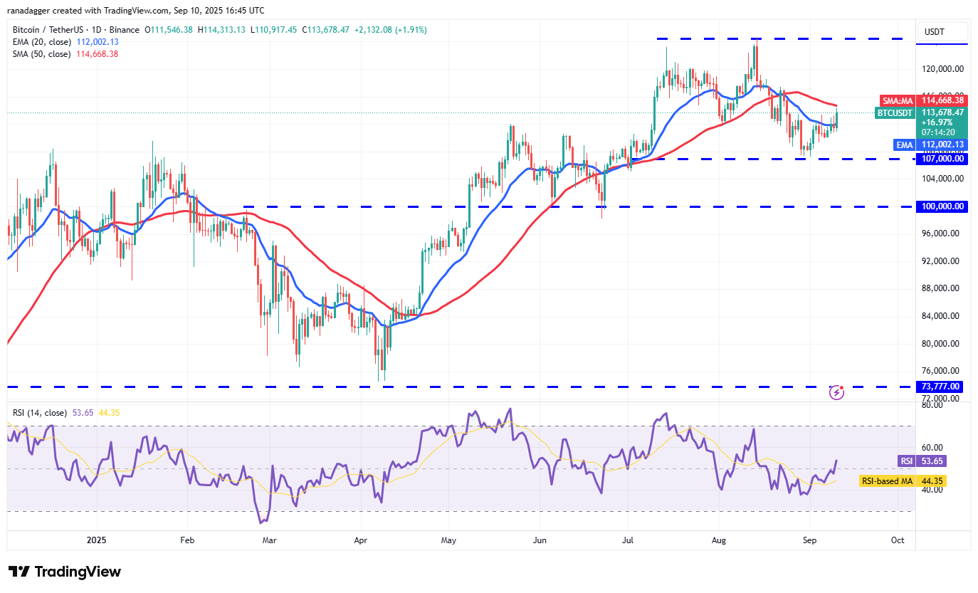 Dogecoin, Cryptocurrencies, Federal Reserve, Gold, Bitcoin Price, XRP, Markets, United States, Cryptocurrency Exchange, Inflation, Interest Rate, CME, Cardano, Price Analysis, Binance Coin, Chainlink, Market Analysis, Ether Price, Solana, SUI