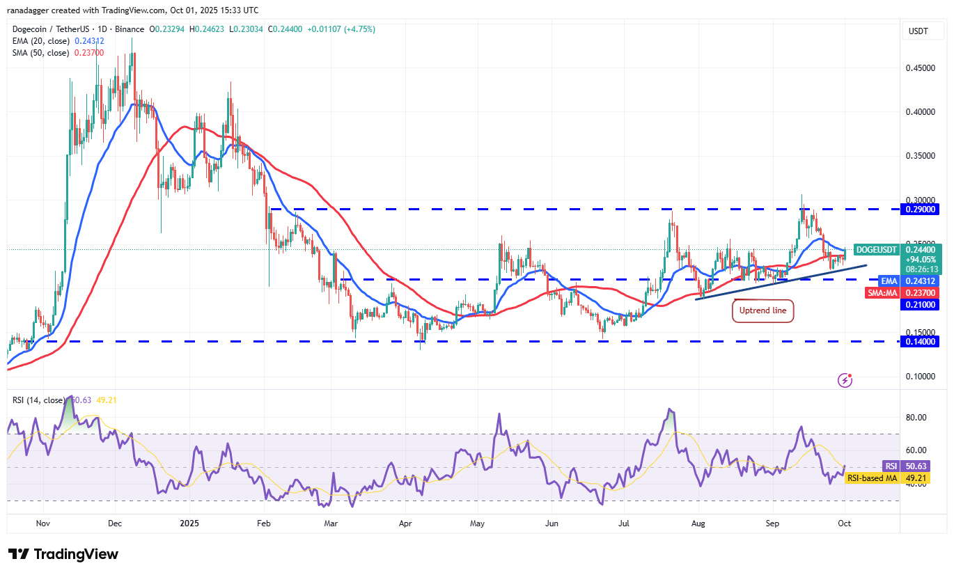 Dogecoin, Cryptocurrencies, Gold, Bitcoin Price, XRP, Cryptocurrency Exchange, Cardano, Price Analysis, Binance Coin, Chainlink, Market Analysis, Ether Price, Solana, Avalanche