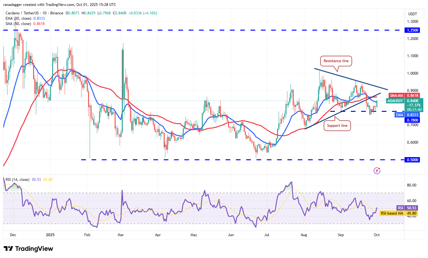 Dogecoin, Cryptocurrencies, Gold, Bitcoin Price, XRP, Cryptocurrency Exchange, Cardano, Price Analysis, Binance Coin, Chainlink, Market Analysis, Ether Price, Solana, Avalanche