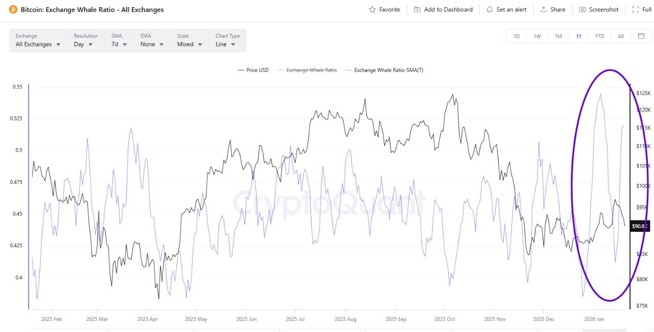 Cryptocurrencies, Bitcoin Price, Bitcoin Analysis, Markets, Cryptocurrency Exchange, Bitcoin Futures, Price Analysis, Market Analysis, Whale