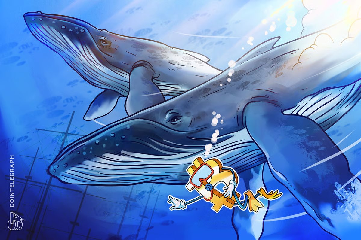 Bitcoin Whale Accumulation Overstated as Long-Term Holders Begin Buying