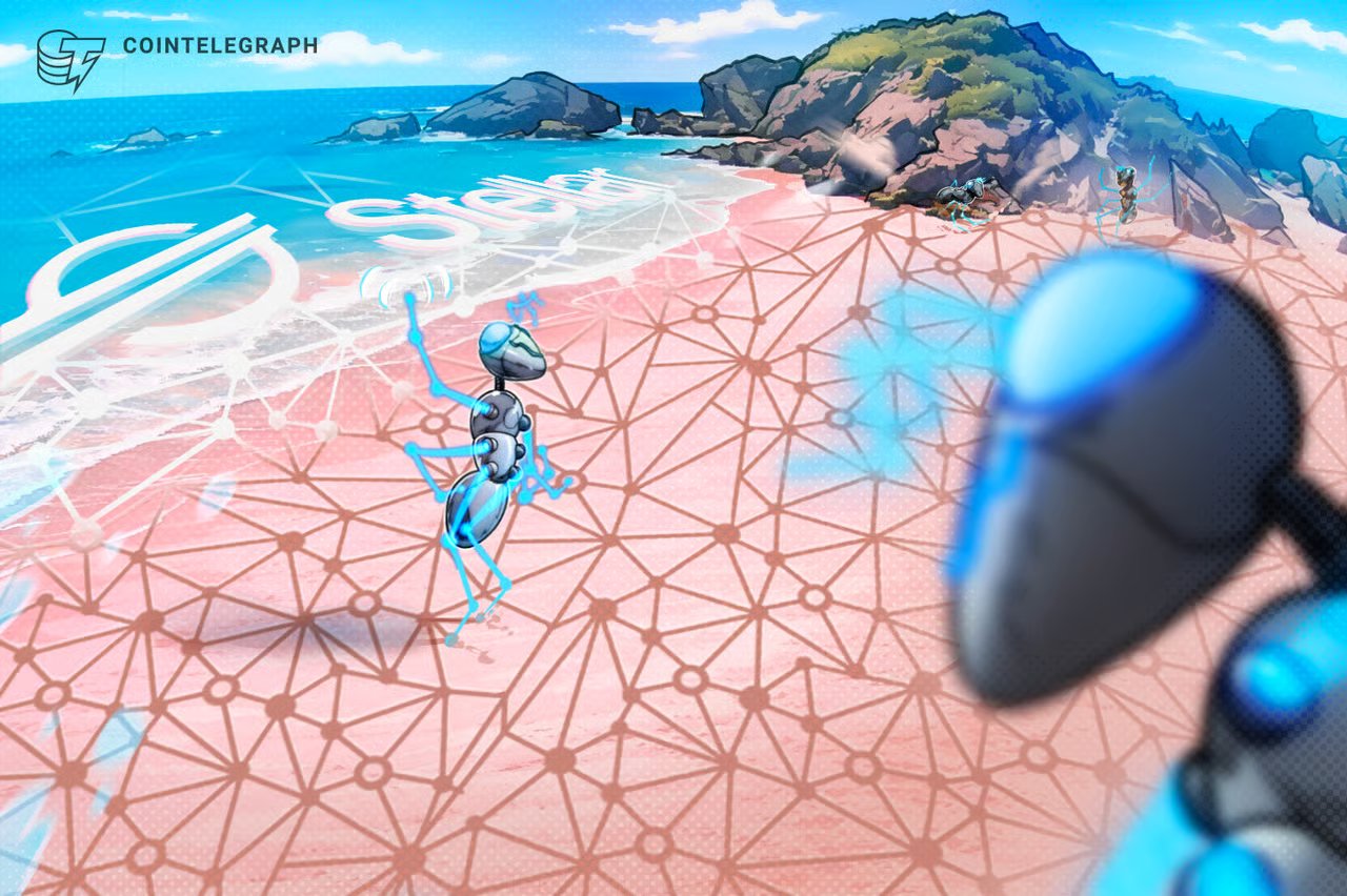 Bermuda to Transition ‘Key’ Financial Services to Stellar Blockchain